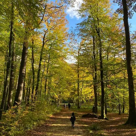 Cosy Dans Le Perche * Val-au-Perche