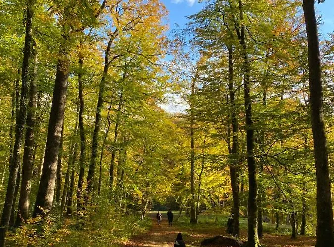 Cosy Dans Le Perche * Val-au-Perche